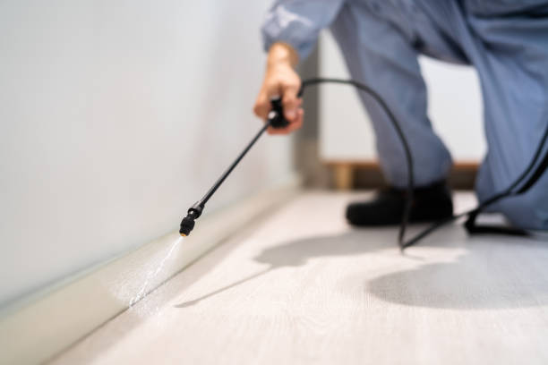 Licensed Termite Control service in Burbank, WA - Nex Pest Control