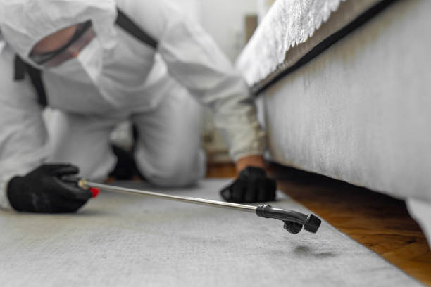 Professional Termite Control technician working in Burbank, WA