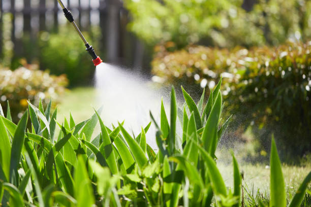 24/7 Emergency Termite Control experts in Burbank, WA