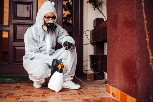 Reliable Termite Control contractor in Burbank, WA by Nex Pest Control