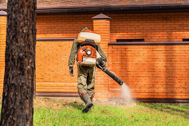 Top rated local Termite Control specialists in Burbank, WA